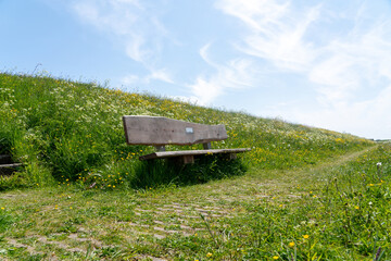 A wooden bench in nature