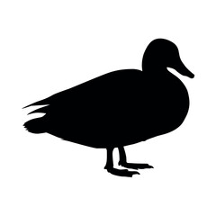 duck silhouette