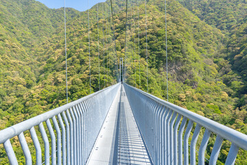Fototapeta na wymiar 綾の照葉大吊橋の風景