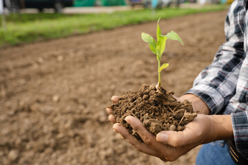 Human hand holding seed with soil on blurred agricultural field background : World Soil Day concept.
