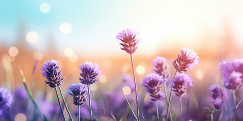 Obraz premium Lavender flowers in the field, blurred background. Beautiful Floral background for greeting card for Mother's day, Birthday, Womens day, Wedding. Generative ai illustration