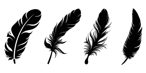 Feather icons. Set of black feather icons isolated on white background. Feather silhouettes. Vector illustration