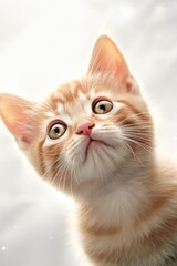 Cute cat isolated on a white background. Generative AI