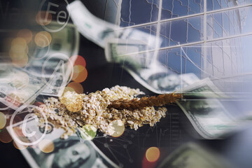 World grain crisis. Double exposure. A handful of cereals and 100 dollar banknotes on a blue background.