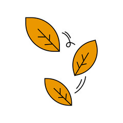 autumn leaves vector illustration