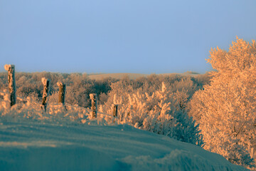 Hoar frost on farm fences and trees