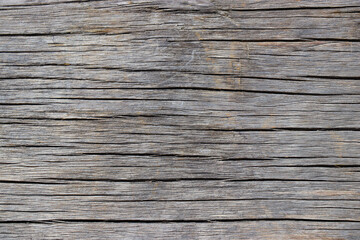 wood tree timber background texture structure backdrop