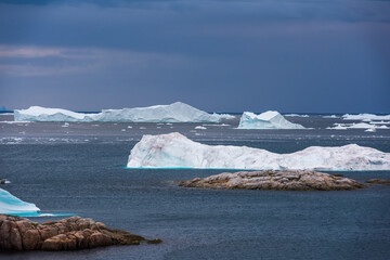 Greenland icebergs © Wayne