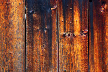 Fototapeta na wymiar wood tree timber background texture structure backdrop