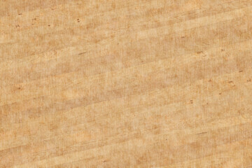 birch wood timber background texture surface backdrop