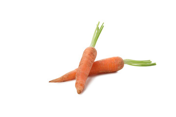 PNG, Fresh carrot isolated on white background