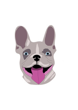 gray and white french bulldog dog head vector, small loving pet dog, dog head for decoration, poster, poster, book cover.