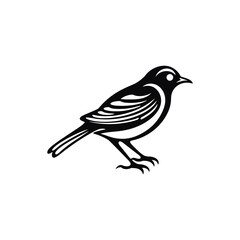 Bird outline sketch vector. Hand drawn linear illustration. Monochrome silhouette for coloring book. . Vector illustration