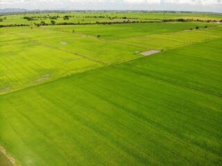 Obraz premium landscape with field