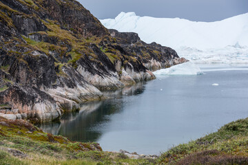 Greenland icebergs © Wayne