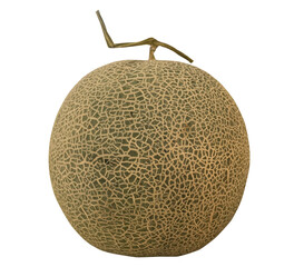 cantaloupe melon isolated transparent background
