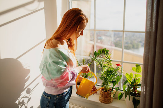 Redhead woman watering flowering plants on window sill at home
