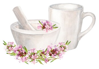 White mortar for chopping herbs and thyme flowers, ceramic mug. Watercolor illustration. Preparation of herbal tea, tonic. The concept of herbal medicine, laboratory or label design.