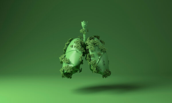 Lungs covered with green plants against green background