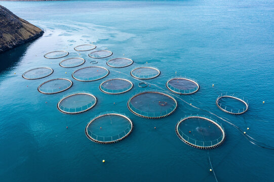 Salmon fish farm in ocean water near coast of Streymay Island