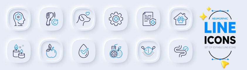 Medical mask, Medical certificate and Pet shelter line icons for web app. Pack of Brain working, Dermatologically tested, Digestion pictogram icons. Medicine, Pets care, Orange juice signs. Vector