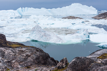 Greenland icebergs © Wayne