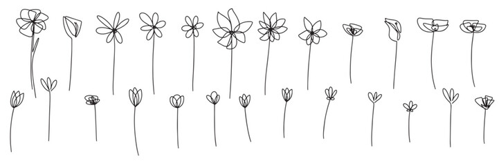Big set of hand drawn flowers. Collection of doodle flowers. Vector illustration.