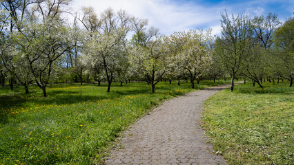 the Nadia farm with ornamental and fruit plantations alternates with picturesque meadows with...