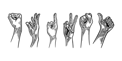 Hand gesture set collections. Vector illustration hand drawing sketch engraving style. Vintage black and white ink colors.