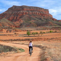 Woman riding on mountain bike in nature - obrazy, fototapety, plakaty