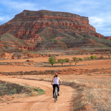 Woman riding on mountain bike in nature