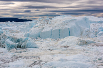 Greenland icebergs © Wayne