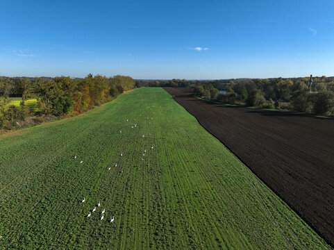 Aerial view of small scale agriculture and ploughing in Brandenburg, Germany.