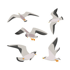 Seagull cartoon character flat design vector illustrations set