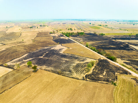 Aerial view of farmland with dry rice fields after harvest, partially burned down, Nakhon Luang, province of Ayutthaya, Thailand.