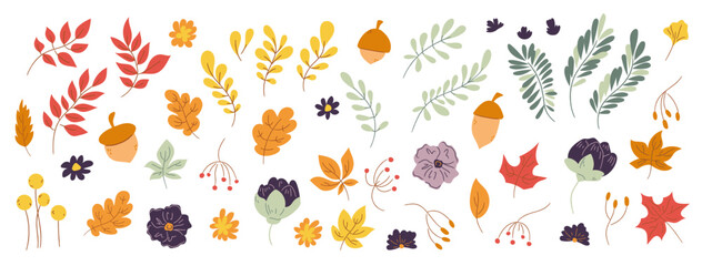 Set of hand drawn fall floral design elements doodle style