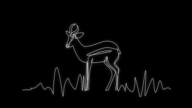Continuous Thin Line Antelope Animation, Minimal Impala Drawing, Animated One Line Art Antilopa, Gazelle Outline, Springbok Logo, Safari Concept, Antelope Cartoon