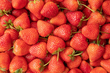 Fresh organic red strawberry fruit background