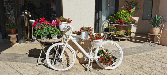 Fototapeta na wymiar A white bicycle decorated with flowers. Flowering plants in pots in front of the entrance to the garden boutique.