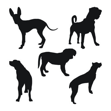 Sketch of black silhouettes of dogs in poses. Outline of pets go, standing, running, jumping, training, walking, guarding, posing, play, showing