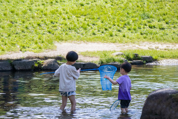 タモを持って水中の生き物を探す小さな兄弟