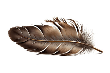 Isolated Single Brown Pigeon Bird Feather on Transparent Background, Generative Ai