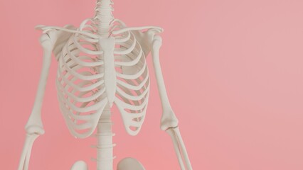 skeleton yoga posing 3d render illustration