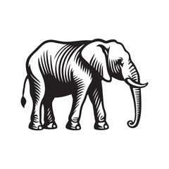Elephant Vector illustration. Bear Vintage Logo