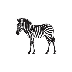 Fototapeta na wymiar Zebra Vector illustration. Fox Vintage Logo