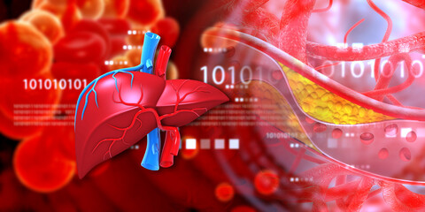 Human liver anatomy on modern scientific background. 3d illustration