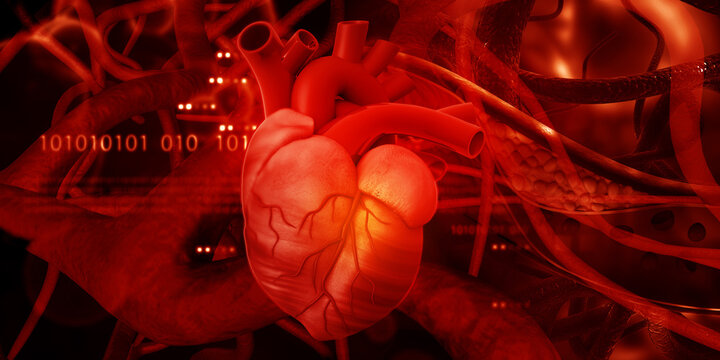 Human heart anatomy on abstract background. 3d illustration..