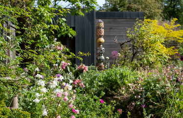Obraz premium Suburban messy bedhead garden in Pinner, Middlesex with rock garden. Aquilegia flowers in the foreground. Eco garden studio with black and cedar cladding and green roof behind.