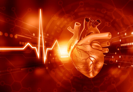 Human heart anatomy on abstract modern medical background. 3d illustration.