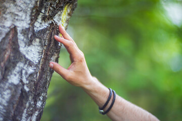 A man's hand touch the tree trunk close-up. Bark wood.Caring for the environment. The ecology...